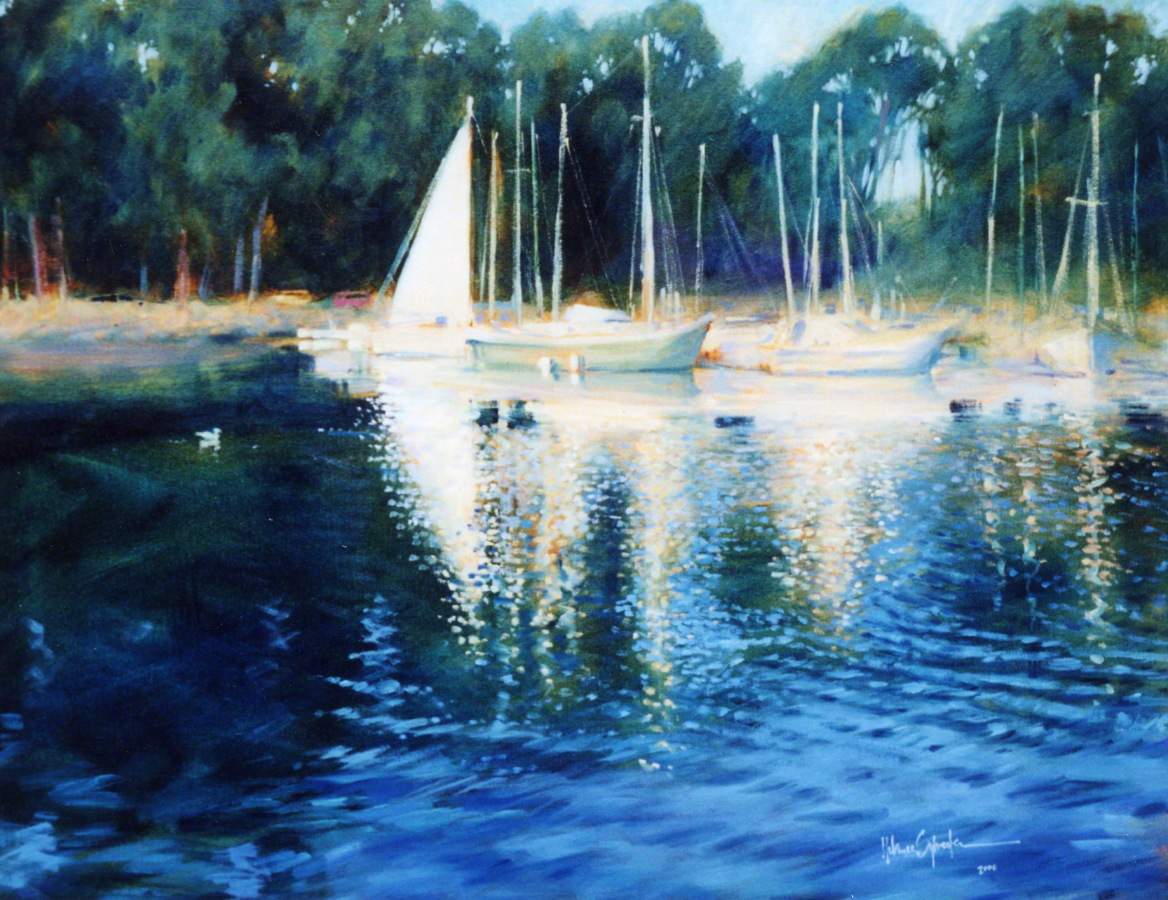 Back Bay Sail Boats